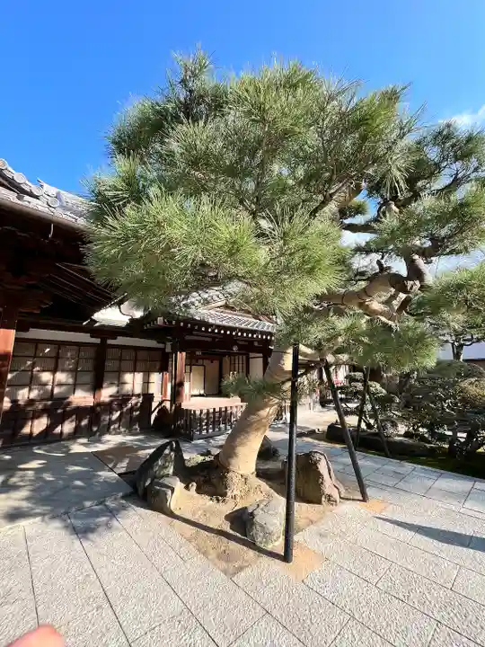清荒神清澄寺(兵庫県)