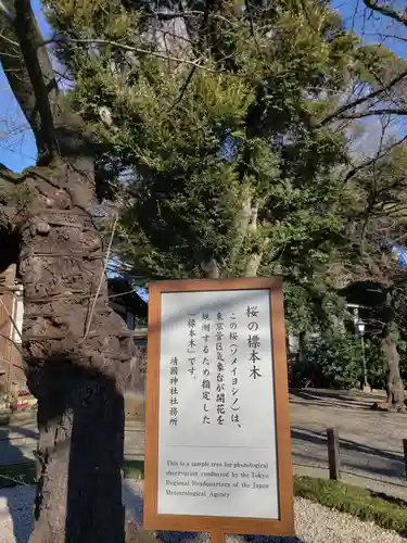 靖國神社の自然