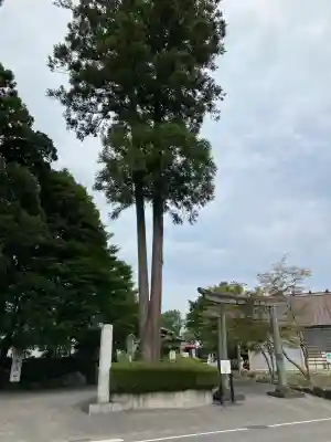 白鷺神社(栃木県)