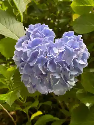 矢田寺(奈良県)