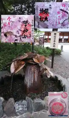 令和4年大祭限定御朱印ｾｯﾄ
大祭限定の｢社名印｣と｢社紋印｣の入った御朱印に｢御手洗守さくら紙石鹸｣が付いていました☺️