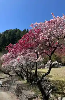 国福大神社(山梨県)