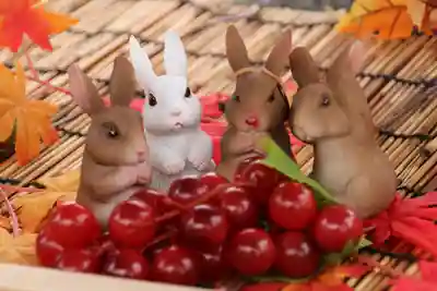 阿邪訶根神社の手水舎