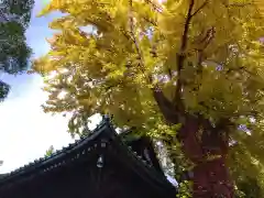 長慶寺(福井県)