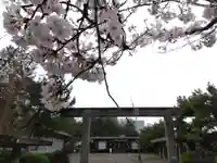 福井神社(福井県)