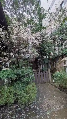 京都大神宮(京都府)