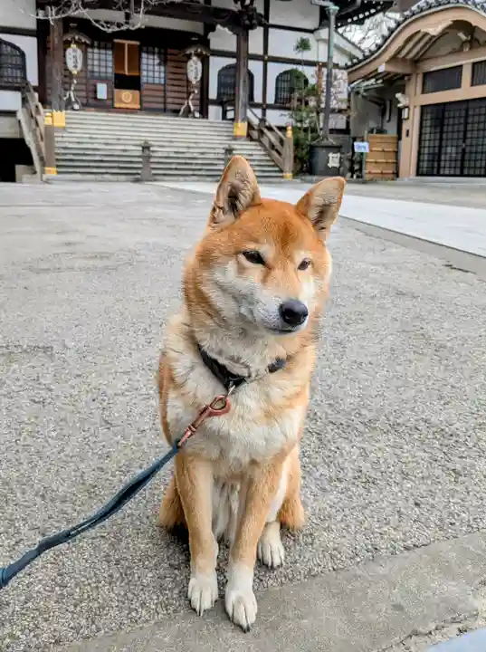 感通寺(東京都)