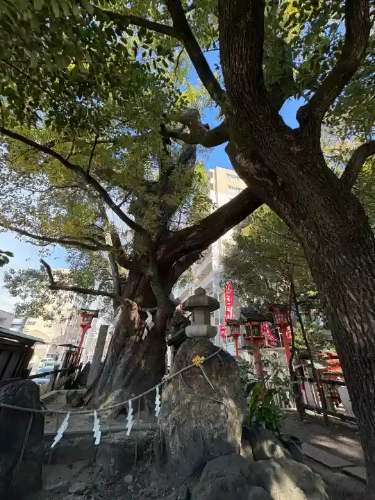 若一神社の{uncategorized: "未分類", other: "その他", undefined: "問題あり", building: "その他建物", grave: "お墓", sacred_gate: "鳥居", guardian: "狛犬", statue: "像", buddha: "仏像", history: "歴史", nature: "自然", garden: "庭園", animal: "動物", pagoda: "塔", temizu: "手水舎", mountain_gate: "山門・神門", sanctuary: "本殿・本堂", subordinate: "末社・摂社", art: "芸術", scenery: "景色", jizo: "地蔵", ema: "絵馬", goshuin: "御朱印", omikuji: "おみくじ", items: "授与品その他", amulet: "お守り", goshuincho: "御朱印帳", eats: "食事", festival: "お祭り", votive_dance: "神楽", shichigosan: "七五三参", wedding: "結婚式", experience: "体験その他", initially: "初詣", around: "周辺", anti_infection: "感染症対策"}