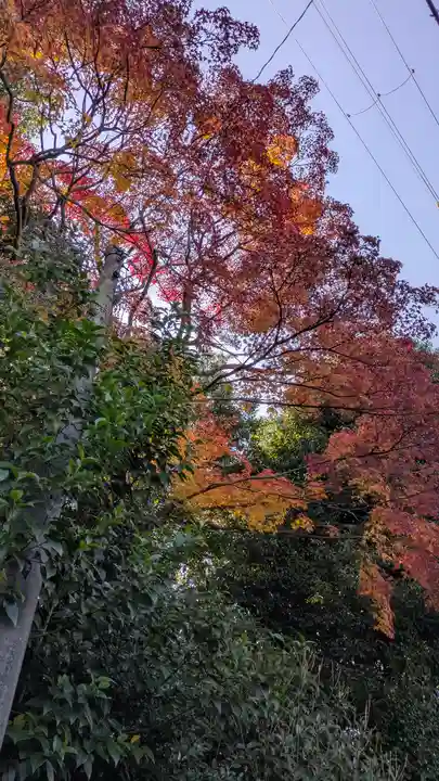九帝王宮 萱野神社(滋賀県)