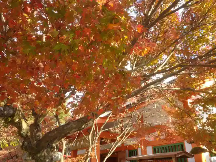 紅葉八幡宮の自然