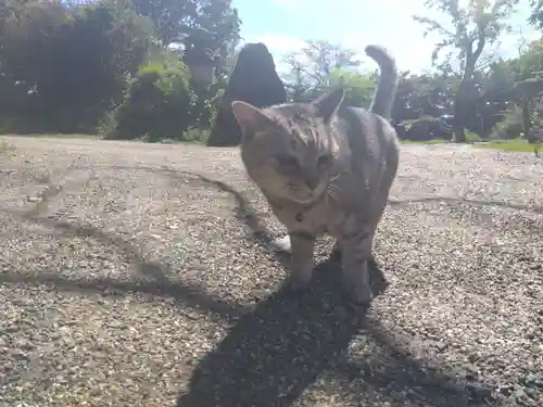 地泉院(愛知県)