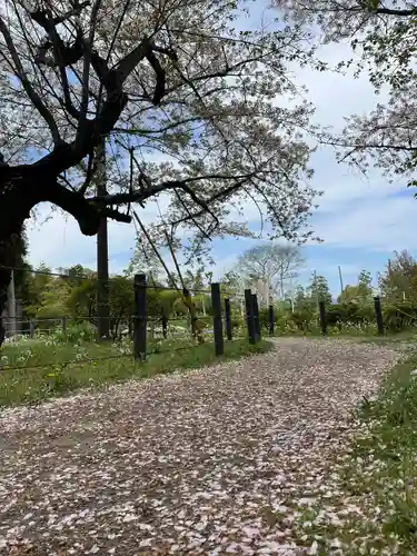 石清水八幡宮(京都府)