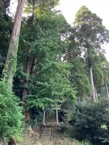 日吉神社の鳥居