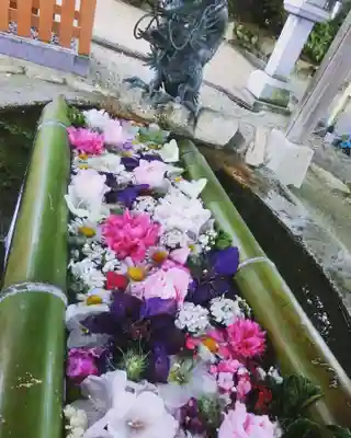 立志神社の手水舎