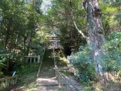 柞原八幡宮(大分県)