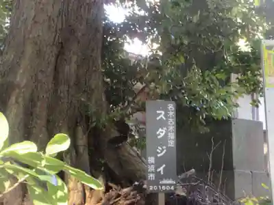 森浅間神社(神奈川県)