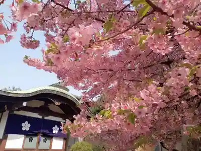新井薬師（梅照院）(東京都)