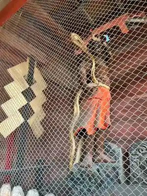 上野国一社八幡八幡宮(群馬県)