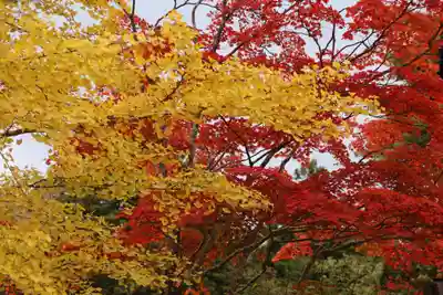 山津見神社の庭園