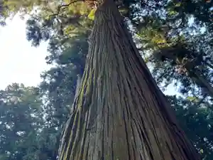 大宮温泉神社(栃木県)(2023年07月26日(水) 08時14分45秒投稿)