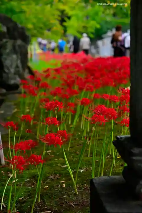 横浜 西方寺(神奈川県)