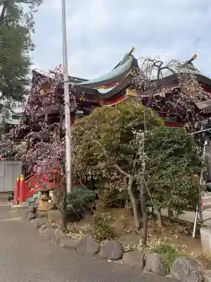 居木神社の{uncategorized: "未分類", other: "その他", undefined: "問題あり", building: "その他建物", grave: "お墓", sacred_gate: "鳥居", guardian: "狛犬", statue: "像", buddha: "仏像", history: "歴史", nature: "自然", garden: "庭園", animal: "動物", pagoda: "塔", temizu: "手水舎", mountain_gate: "山門・神門", sanctuary: "本殿・本堂", subordinate: "末社・摂社", art: "芸術", scenery: "景色", jizo: "地蔵", ema: "絵馬", goshuin: "御朱印", omikuji: "おみくじ", items: "授与品その他", amulet: "お守り", goshuincho: "御朱印帳", eats: "食事", festival: "お祭り", votive_dance: "神楽", shichigosan: "七五三参", wedding: "結婚式", experience: "体験その他", initially: "初詣", around: "周辺", anti_infection: "感染症対策"}