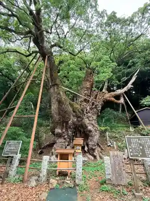 葛見神社(静岡県)
