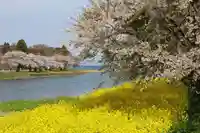 鏑箭神社の周辺
