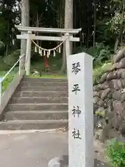 琴平神社の建物その他