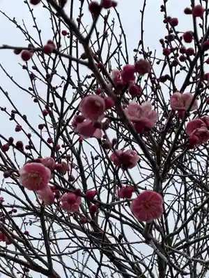 大覚寺(京都府)