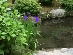 平安神宮の庭園