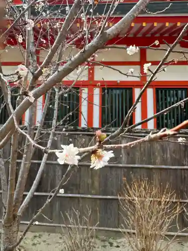 玉造稲荷神社の{uncategorized: "未分類", other: "その他", undefined: "問題あり", building: "その他建物", grave: "お墓", sacred_gate: "鳥居", guardian: "狛犬", statue: "像", buddha: "仏像", history: "歴史", nature: "自然", garden: "庭園", animal: "動物", pagoda: "塔", temizu: "手水舎", mountain_gate: "山門・神門", sanctuary: "本殿・本堂", subordinate: "末社・摂社", art: "芸術", scenery: "景色", jizo: "地蔵", ema: "絵馬", goshuin: "御朱印", omikuji: "おみくじ", items: "授与品その他", amulet: "お守り", goshuincho: "御朱印帳", eats: "食事", festival: "お祭り", votive_dance: "神楽", shichigosan: "七五三参", wedding: "結婚式", experience: "体験その他", initially: "初詣", around: "周辺", anti_infection: "感染症対策"}