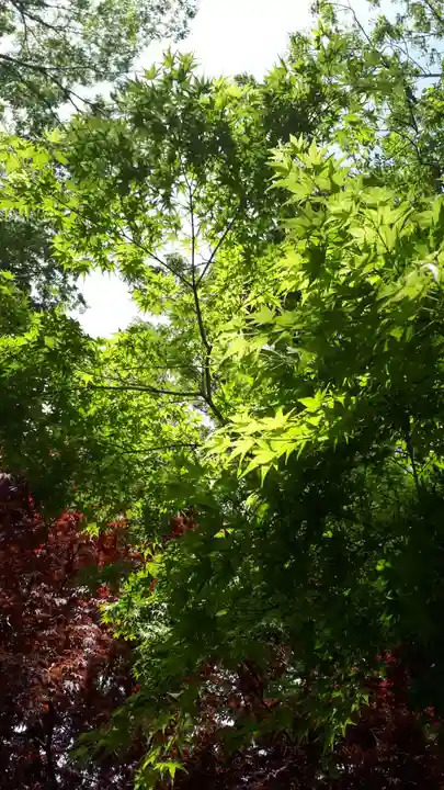 亀田八幡宮(北海道)