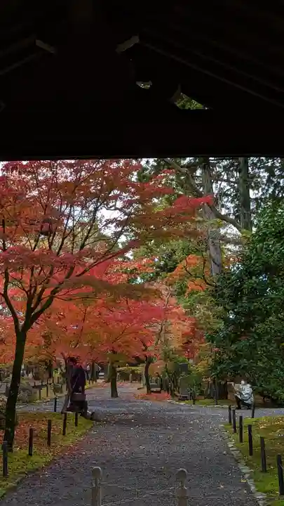 真正極楽寺(真如堂)(京都府)