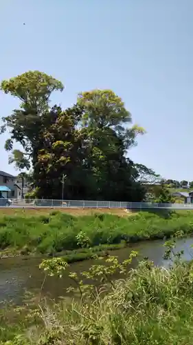 稲荷大明神の周辺