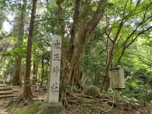 氣多大社の{uncategorized: "未分類", other: "その他", undefined: "問題あり", building: "その他建物", grave: "お墓", sacred_gate: "鳥居", guardian: "狛犬", statue: "像", buddha: "仏像", history: "歴史", nature: "自然", garden: "庭園", animal: "動物", pagoda: "塔", temizu: "手水舎", mountain_gate: "山門・神門", sanctuary: "本殿・本堂", subordinate: "末社・摂社", art: "芸術", scenery: "景色", jizo: "地蔵", ema: "絵馬", goshuin: "御朱印", omikuji: "おみくじ", items: "授与品その他", amulet: "お守り", goshuincho: "御朱印帳", eats: "食事", festival: "お祭り", votive_dance: "神楽", shichigosan: "七五三参", wedding: "結婚式", experience: "体験その他", initially: "初詣", around: "周辺", anti_infection: "感染症対策"}