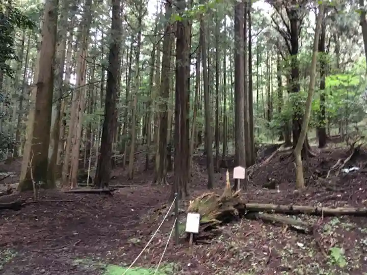 赤城神社(三夜沢町)の自然