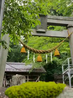 天鷹神社(岐阜県)