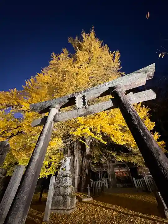 筒賀大歳神社(広島県)