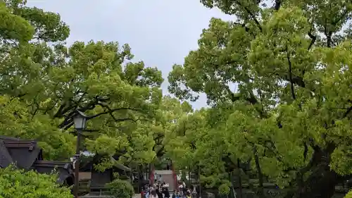 太宰府天満宮の景色