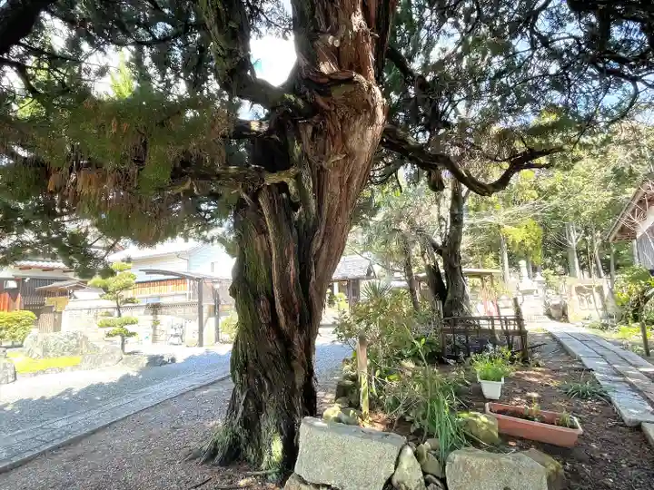 大蓮寺(滋賀県)