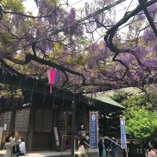 國領神社の本殿・本堂