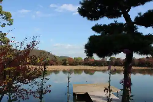 大覚寺の庭園