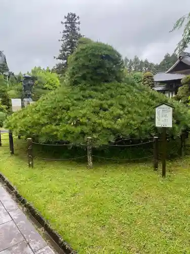 大聖寺（土浦大師不動尊）(茨城県)