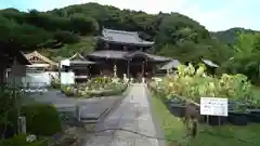 三室戸寺の建物その他