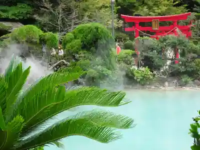 白龍稲荷大神の鳥居