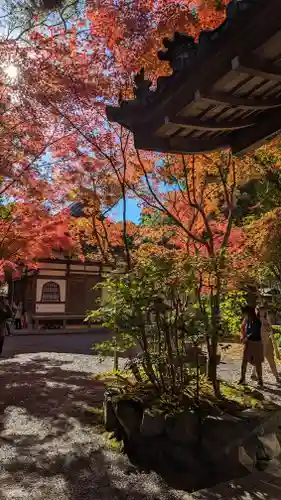 赤山禅院(京都府)