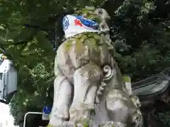 秩父神社の狛犬