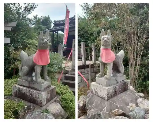 玉三稲荷神社の狛犬