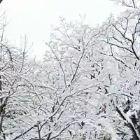 彌彦神社 (伊夜日子神社)の自然